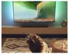 TAB5109 soundbar 2.0 PHILIPS Voir les images du produit 17