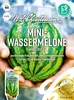 Mini - Wassermelone Mini love F1 | Melonensamen von N.L. Produktbild-Vorschau 1