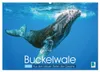 Buckelwale: Aus den blauen Tiefen der Ozeane (Wandkalender Produktbild-Vorschau 1
