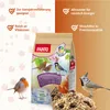 PANTO Wildvogel Power-Mix 5 x 1kg – Wildvogelfutter mit Produktbild-Vorschau 2