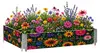 Aga Vyvýšený záhon 120x80x40 cm Kvety Náhľad obrázku produktu 1