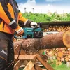 A person is using a Makita cordless chainsaw to cut a log outdoors. Produktbild-Vorschau