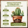 Green Home Kakteen & Sukkulenten Erde 72L mit Perlit. Produktbild-Vorschau 5