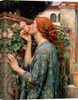 Leinwandbilder - John William Waterhouse, L'âme de la rose Voir les images du produit 1
