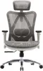 A studio shot of an ergonomic office chair. Produktbild-Vorschau