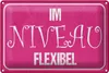 Blechschild Spruch 30x20cm Im NIVEAU flexibel Produktbild-Vorschau 1