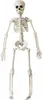 Halloween Skelett 40 cm - Beweglich Produktbild-Vorschau 1