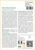 SAFLAX  - Albero della principessa - 200 semi - Paulownia Anteprima dell’immagine prodotto 3