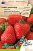 Semi di fragole Grandian F1 a frutto grande per fragole Anteprima dell’immagine prodotto 1