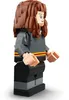 LEGO 76393 Harry Potter Harry Potter & Hermine Granger Produktbild-Vorschau 7