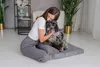 Hundebett, Hundematratze, Welsti grau Cord M 70x50 Produktbild-Vorschau 4