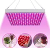 Izrielar LED rastlinná lampa Príslušenstvo pre záhradu a Náhľad obrázku produktu 10