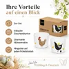 PPD Breakfast Club Egg Cup Set, 2-tlg., Eierbecher, Produktbild-Vorschau 4