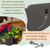 2er Set Wand Blumentopf im Set Wandblumentopf Wandtopf Produktbild-Vorschau 4