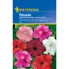 Petunie Balkonmischung | Petuniensamen von Kiepenkerl Produktbild-Vorschau 3