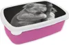 KitchenYeah® Lunchbox Brotzeit Brotdose 17x11 cm Koala - Produktbild-Vorschau 1