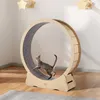 Roue d'exercice en bois pour chat 52 pouces Grande roue de Voir les images du produit 8