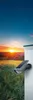 LEDVANCE Endura Garden SOLAR LED Wandleuchte 30cm 0,5W Produktbild-Vorschau 4