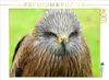 CALVENDO Puzzle Adler | 1000 Teile Lege-Größe 64x48cm Produktbild-Vorschau 1