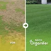 Osivo okrasného trávníku Elegant – 10 kg = 500 m² – osivo Náhled obrázku produktu 2