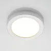 Prios LED-Deckenleuchte Edwina, silber, 25 cm, CCT, IP44 Produktbild-Vorschau 6