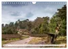 Lüneburger Heide: Die Nordheide (Wandkalender 2027 DIN A4 Produktbild-Vorschau 6