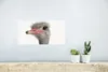 MuchoWow® Poster Strauß - Tiere - Kinder - Jungen - Mädchen Produktbild-Vorschau 5
