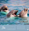 Never give up! Postkartenkalender 2027 - Durchhalten. Denn Produktbild-Vorschau 3