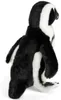 Carl Dick Pinguin, pingüino de Humboldt, aproximadamente 30 Vista previa de la imagen del producto 4