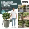 Kreher® 2 x XXL Pflanzkübel / Pflanztopf „LIKE“ Ø79xH70 cm Produktbild-Vorschau 5