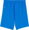 Puma Teamgoal Shorts Kinder - Royal Produktbild-Vorschau 4