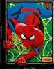 Lego LGO ART THE AMAZING SPIDER-MAN SPIDER-MAN Voir les images du produit 19