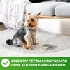 1L Tier Geruchsentferner gegen Katzenurin und Tiergerüche Produktbild-Vorschau 4