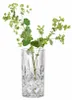 Nachtmann Noblesse, Vase mit runder Form, Glas, Produktbild-Vorschau 11