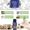 A product shot featuring a small bottle of pet medication alongside a cat and a dog, with floral background elements and feature callouts. Produktbild-Vorschau