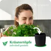 Novaliv Stilvolle Kräuterstation 3er Set mit Holzunterlage Produktbild-Vorschau 6