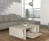 Couchtisch Veyron mit Tür und seitlichen Ablagen in beiger Produktbild-Vorschau 6