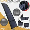 Hunderampe mit rutschfesten Teppich 180 cm klappbar für Produktbild-Vorschau 3