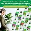 Purgrün Hanfpalmen Dünger | Flüssigdünger für Wachstum | 1L Produktbild-Vorschau 8