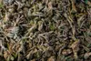 Terrarium Bodengrund Einstreu (125g) Produktbild-Vorschau 5
