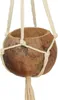 BioCoco Pot Vaso in cocco per orchidee epifite Anteprima dell’immagine prodotto 9