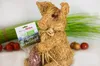 Original Eichsfelder Feldgieker 330g I Fleischerei Weber I Produktbild-Vorschau 8