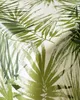PVC Tischdecke Bamboo Bambus Grün Wachstuch · Breite & Produktbild-Vorschau 2