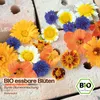 Samenliebe  Essbare Blüten Samen | Blumenmischung - bunt & Produktbild-Vorschau 4