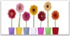 Glasbilder 140x70 Wandbild Druck auf Glas Blumen Pflanzen Produktbild-Vorschau 1