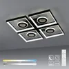 Paul Neuhaus LED Deckenleuchte Traforo 53 cm Produktbild-Vorschau 6