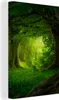 MuchoWow® - Leinwandbilder - Bäume - Wald - Grün - Produktbild-Vorschau 1