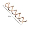 20PCS Spiralhaarnadeln, Twist-Haar-Clips, abgerundete Produktbild-Vorschau 5