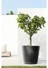 Ecopots Amsterdam Wheels 80 Pot de fleurs - L 80 cm x H Voir les images du produit 5