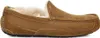 Ugg Ascot M Chestnut - Heren Pantoffel - 1101110-CHE Produktbild-Vorschau 9